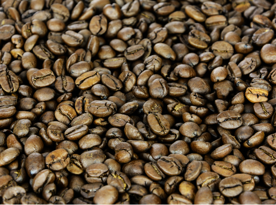 High-altitude Coffee Plantations in India